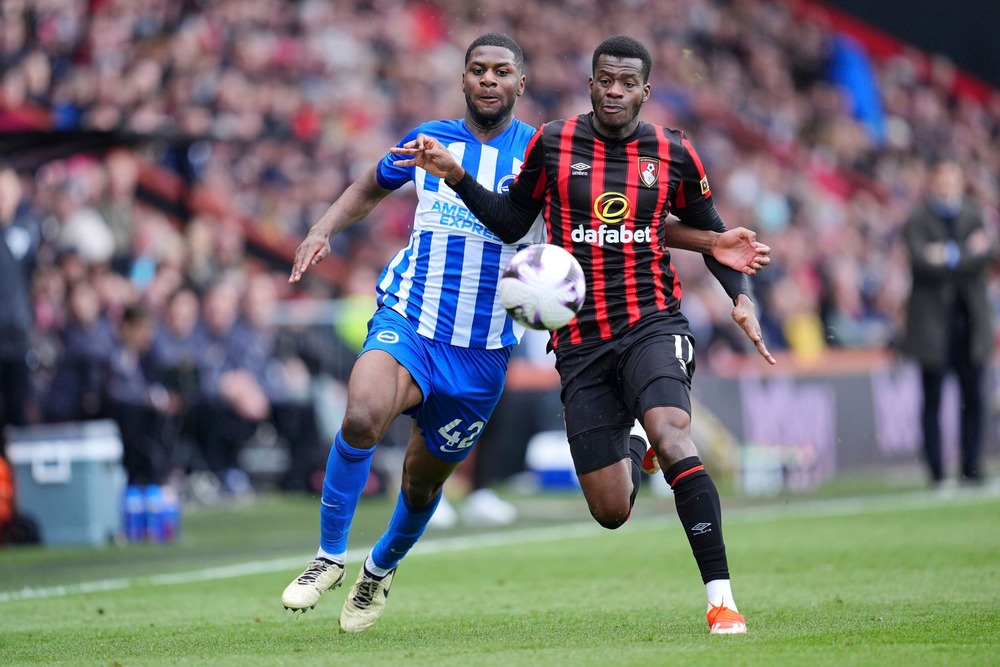 nhan-dinh-soi-keo-brighton-vs-bournemouth-luc-03h00-ngay-20-1-2026-1